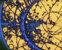 EASLCE/ BASCE: 7th Biennial Conference “Wildness without Wilderness”: The Poiesis of Energy and Instability