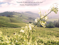 Screen Shot 2016 03 21 at 6.07.21 PM CFP: Landscapes of Wine in Literature and Cinema Conference International Conference