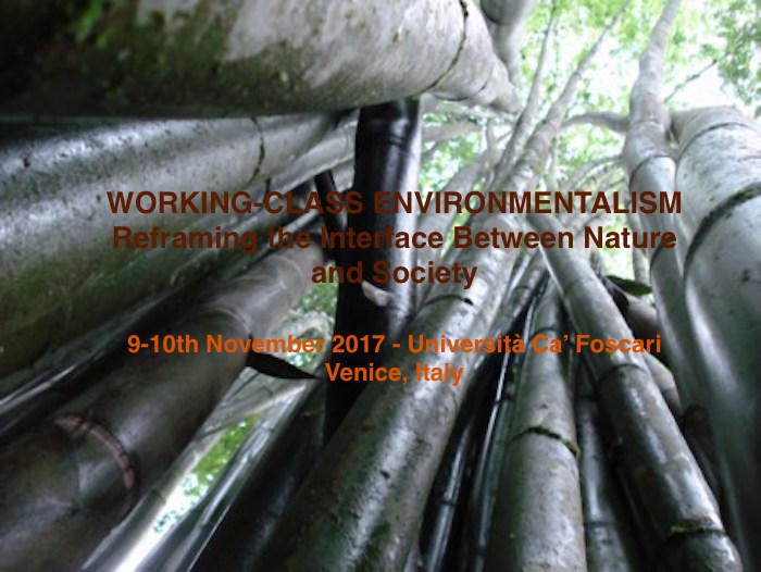 IMG WORKING Call for Applications-Working-class Environmentalism: Reframing the Interface between Society and Nature