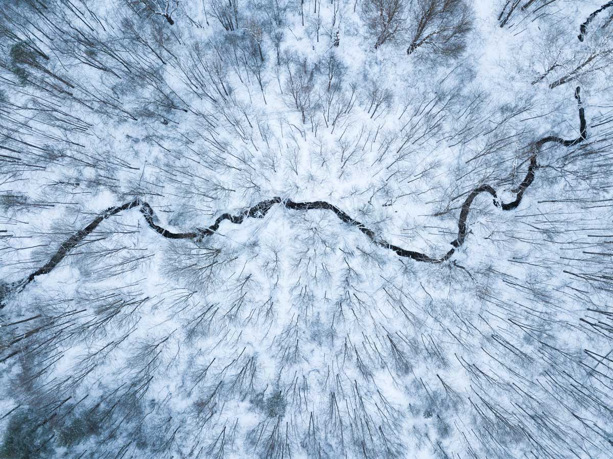 aaron burden 1381021 unsplash web Renew your EASLCE membership