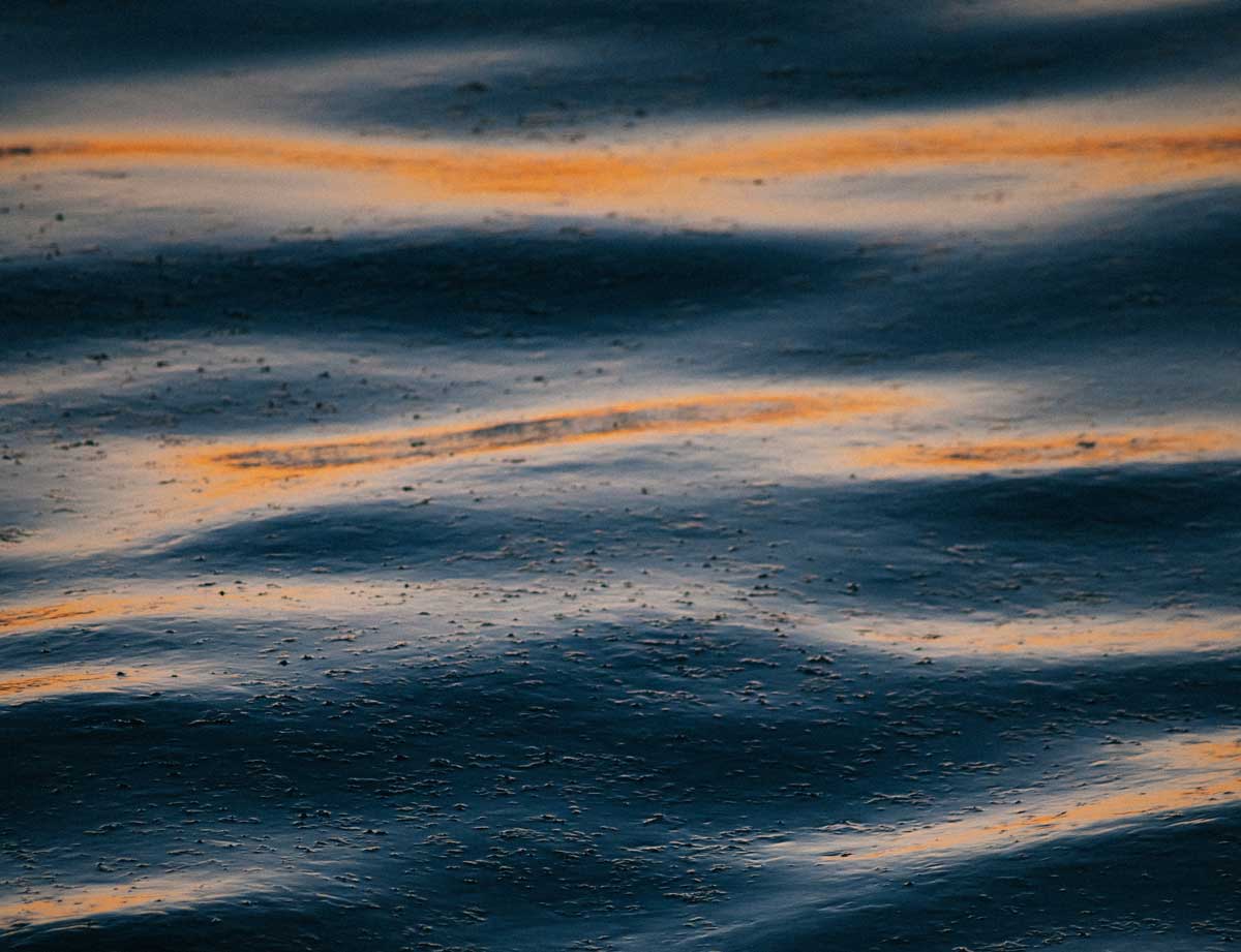 CFP: Precarious Houses by the Water