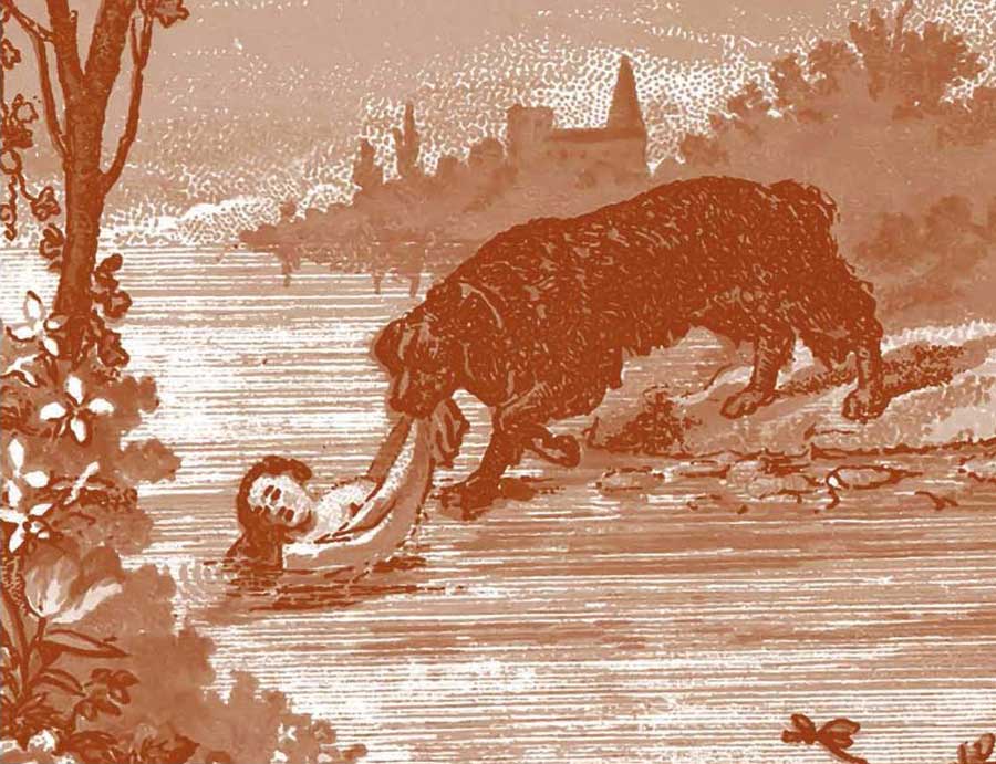 New Translation: Cultural Representations of Other-than-human Nature