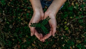 noah buscher EASLCE EASLCE 14th Webinar: Ecocritics Going Public: Using Our Knowledge for Public Good