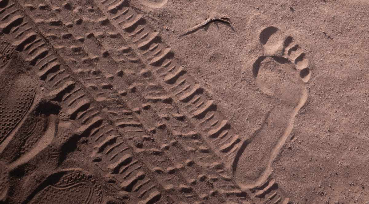 EASLCE 18th Webinar: Realism(s) in the Anthropocene: Representational and Ethical Challenges