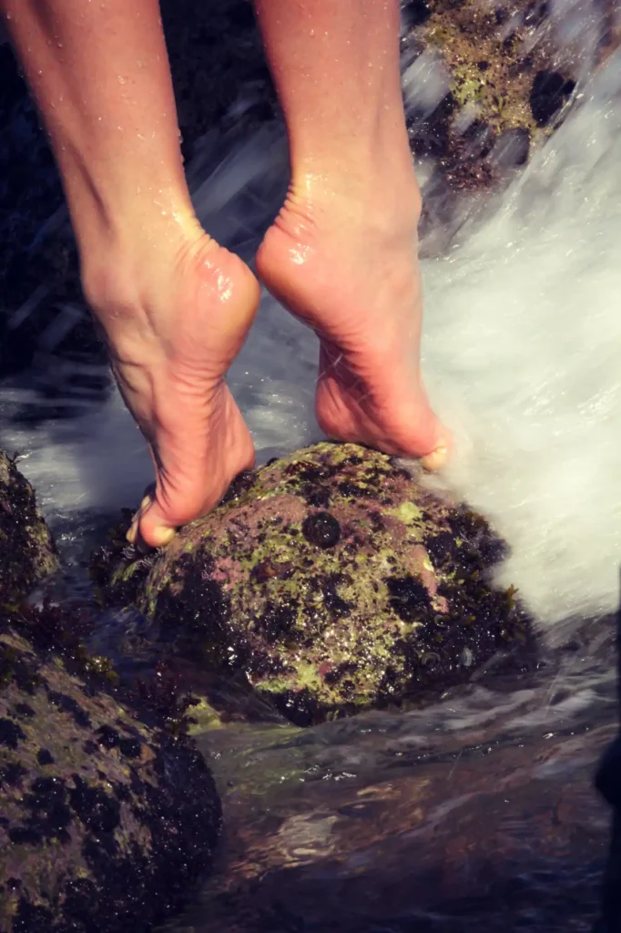EASLCE – Dancing Bodies of Water: A Multimedia Research Creation Project Involving Dance, Video, Photography and Writing Rocher planete 1 Dancing Bodies of Water: A Multimedia Research Creation Project Involving Dance, Video, Photography and Writing